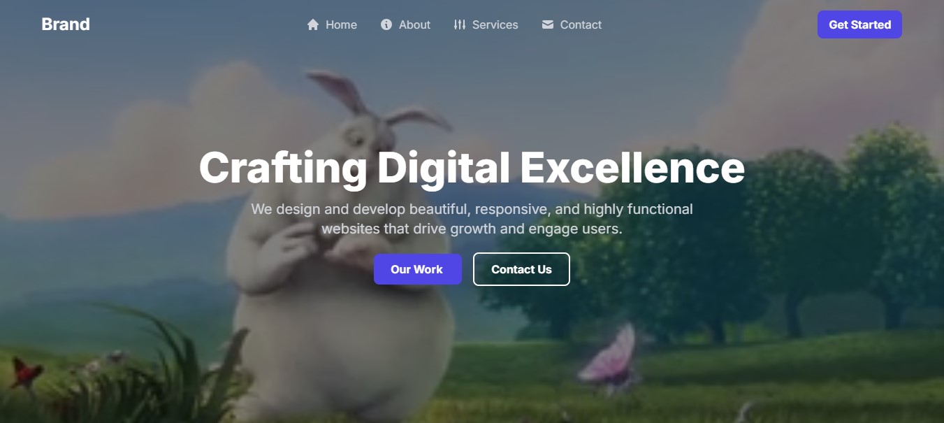 adjust-website-design8